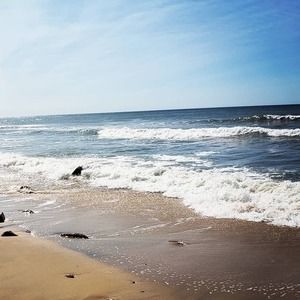 Meet your Posher, Judy